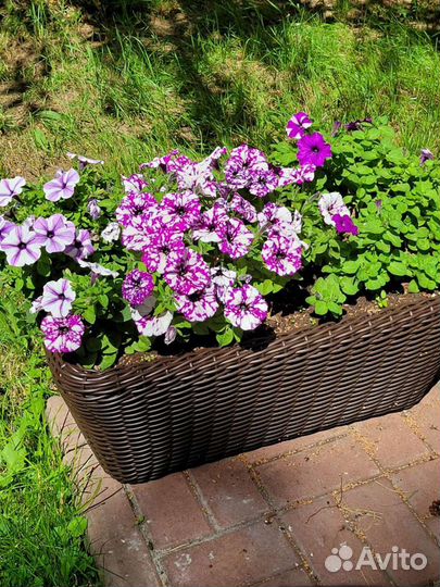 Кашпо плетеное, горшки, вазоны