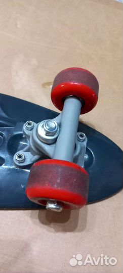 Пениборд ridex