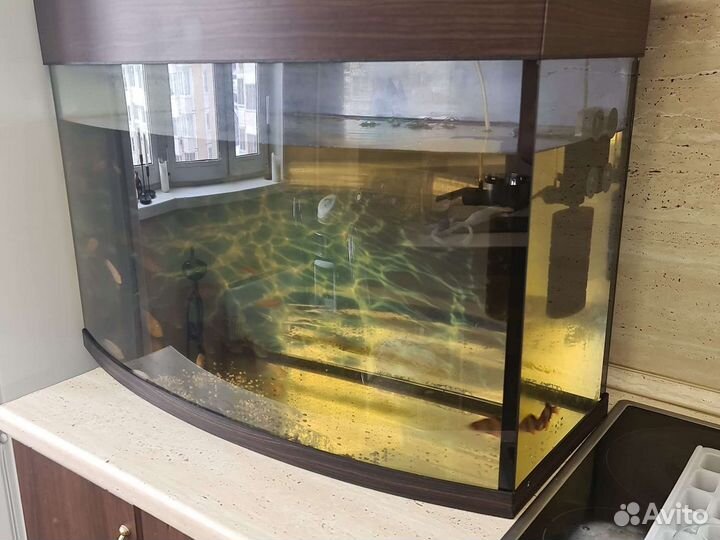 Аквариум
