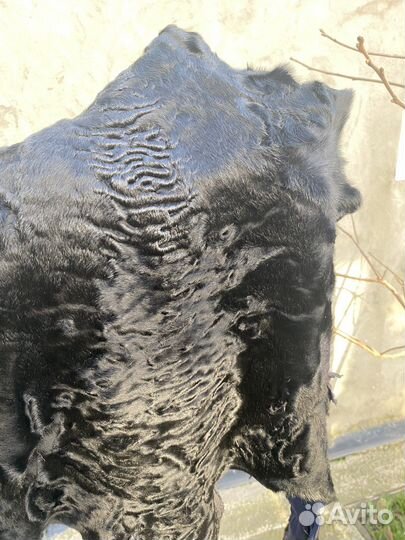 Шкура каракуль