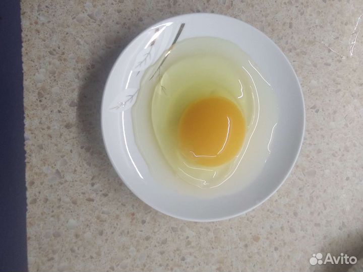 Домашние куриные яйца