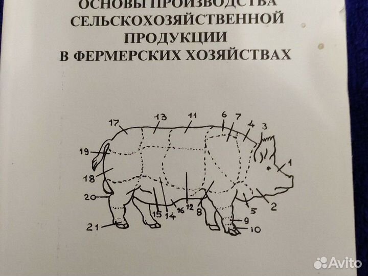 Основы производства с/х продукции