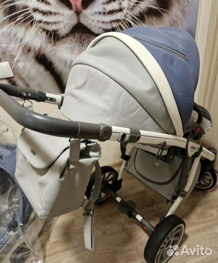 Коляска Anex sport