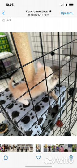 Вальер для животных