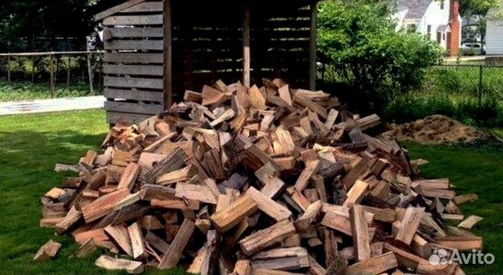 Дрова в область