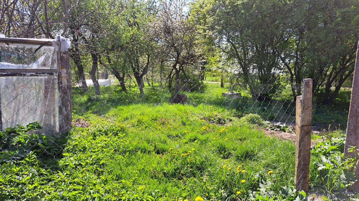 Дом 123 м² на участке 12 сот.