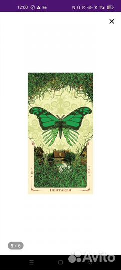 Taro святой смерти