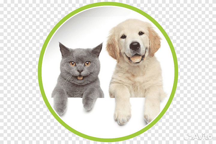 Упаковщики фасовщики в Тульскую обл. Проживание