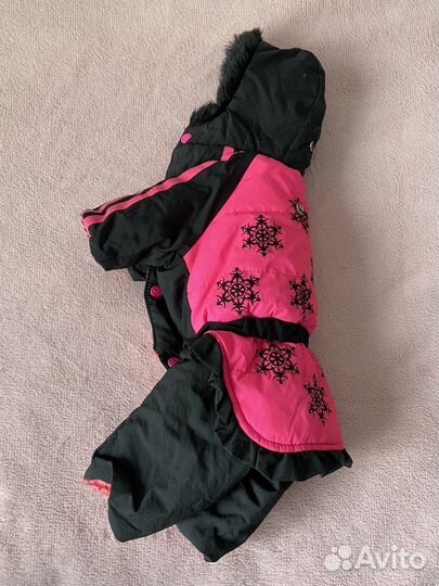 Зимний костюм для собак