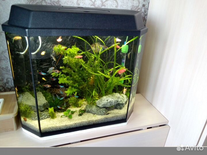 Аквариум 50 литров панорамный