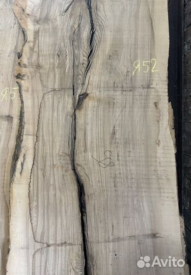 Слэб ясеня, дуба. В наличии в нск