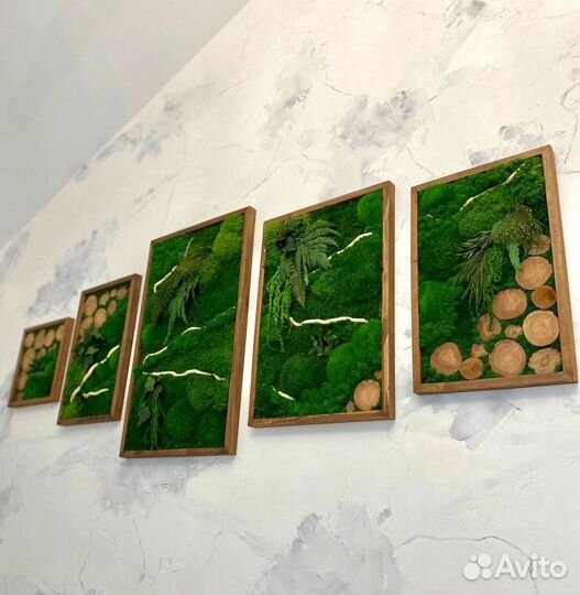 Мох стабилизированный. Ягель. Озеленение. Кочки