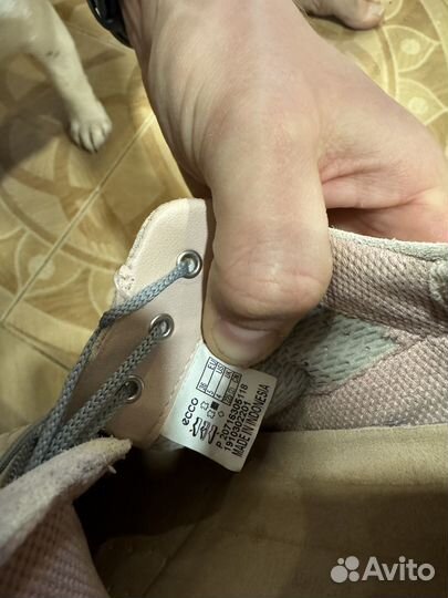 Ботинки Экко