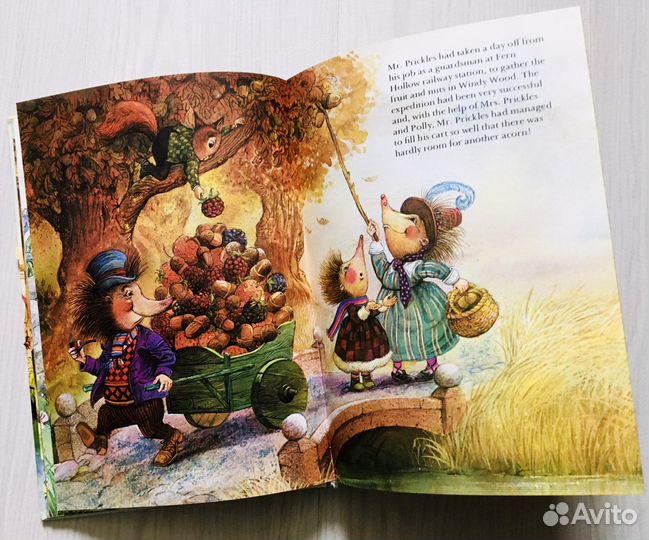 В папоротниковой низине, 1994, Пейшенс