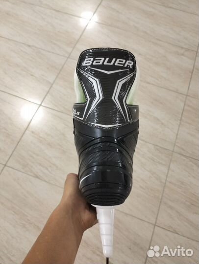 Bauer xls