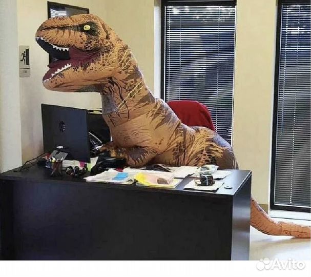 Надувные костюмы аренда