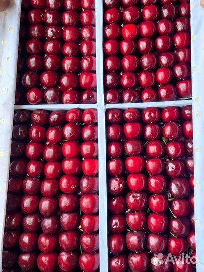 Черешня оптом