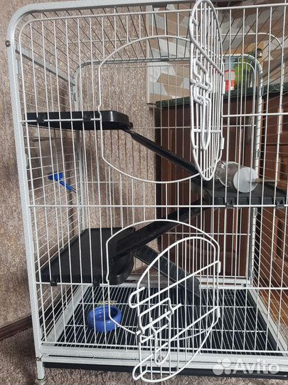 Клетка для грызунов очень большая