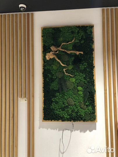 Фитостены из мха, искусственных растений