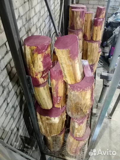 Спил дерева липы, пеньки липы