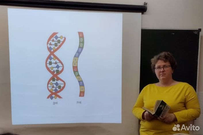 Репетиторы. ЕГЭ/ОГЭ. Любые предметы