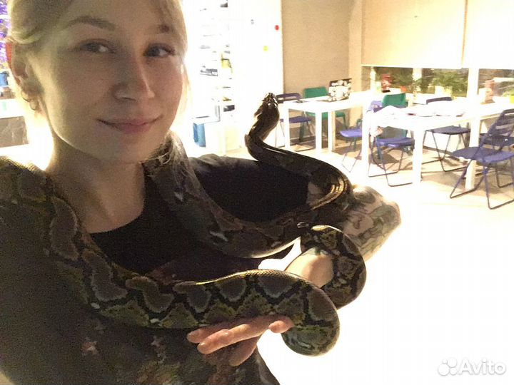 Уход за террариумами/Аквариумами