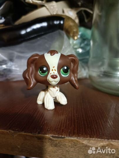 Littlest pet shop lps кокер 3d 3д #156