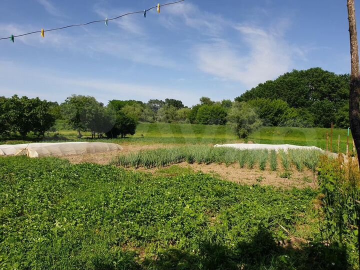 Дом 100 м² на участке 60 сот.