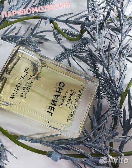Chanel Egoiste platinum