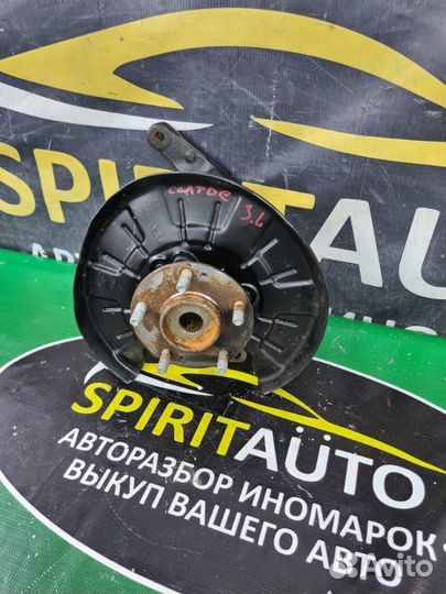 Кулак поворотный задний левый Kia Seltos 1 G4FP