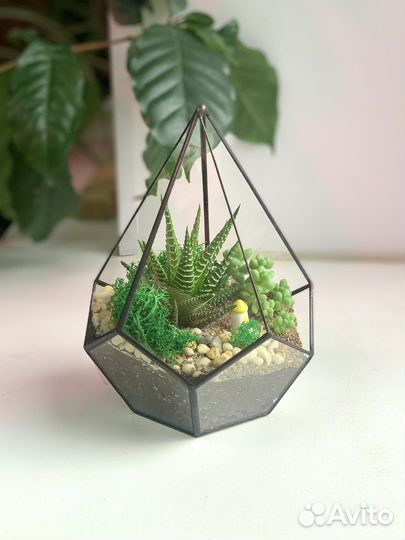 Флорариум с суккулентами