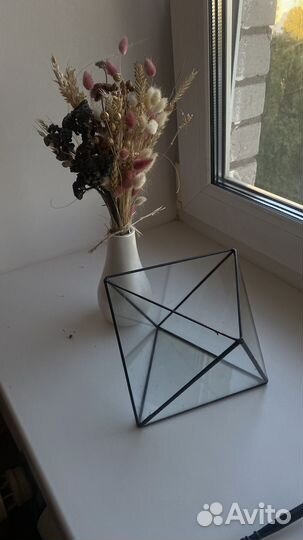 Флорариум для суккулентов