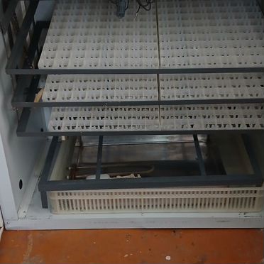 Инкубатор для яиц 450шт
