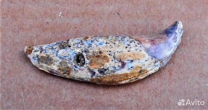 Амулет кость клык большой Домонгол