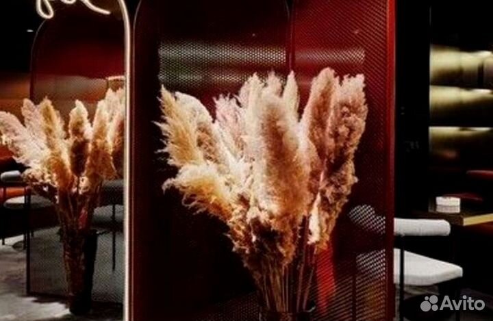 Пекарня на первой линии / Новый ремонт