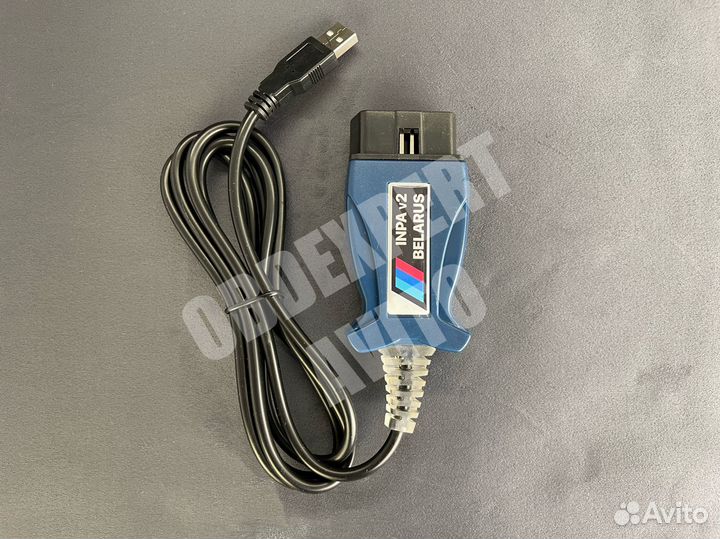 BMW Inpa K+dcan v2 Rheingold, Ista (Беларусь)