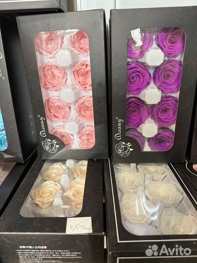 Роза стабилизированная