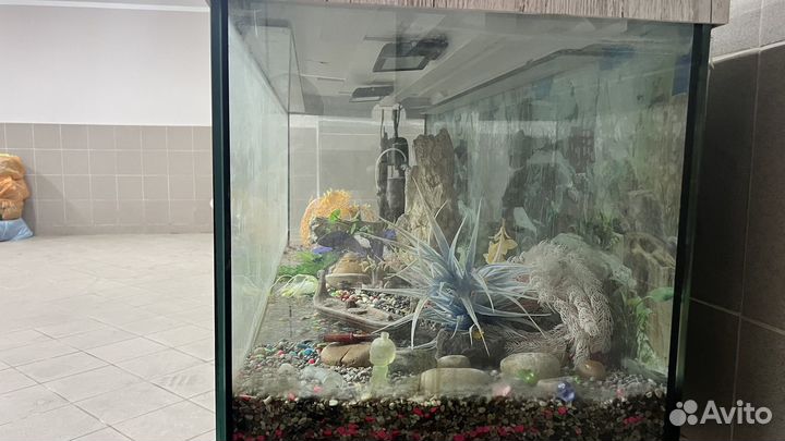 Аквариум большой бу
