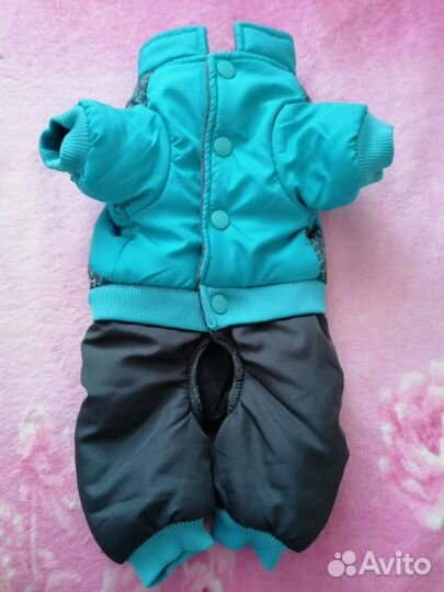 Одежда для собак