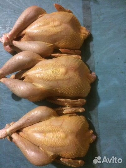 Мясо индюшки