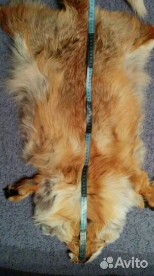 Лисьи шкурки