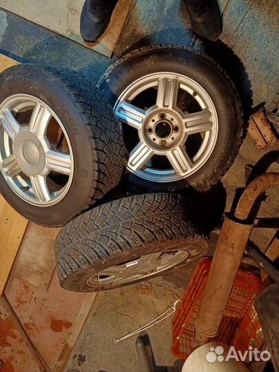 Торусы r14