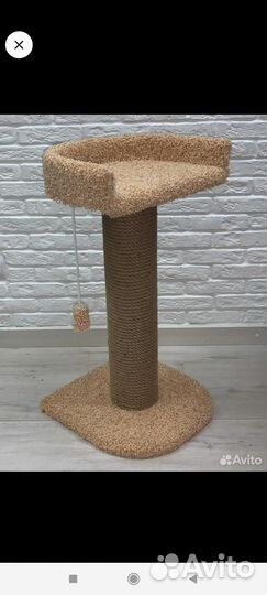 Когтеточка