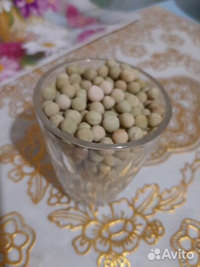 Семена гороха