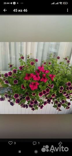 Ящик пластиковый для цветов