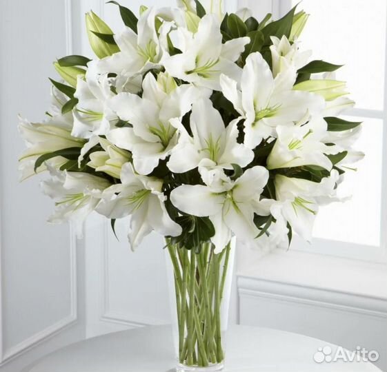 Крупные ароматные Лилии