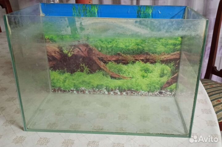 Аквариум