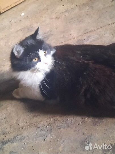 Мальчику 4 месяца