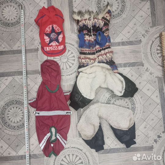 Комбинезоны для маленькой собачки