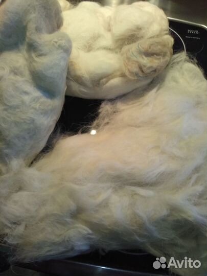 Собачья шерсть